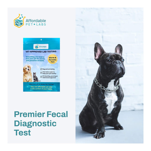 Premier Fecal Diagnostic Test For Dogs, Easy Home Kit - AF21Q - 1