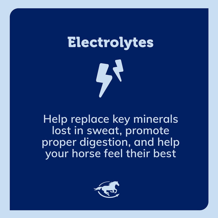 Pro Formula Labs Lyte Now Electrolyte Paste Horse Supplement - SMABF - 30 cc - 3