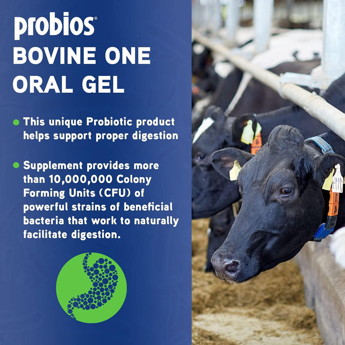 Probios Bovine One Gel - PNP2 - 300 g - Single Pack - 10