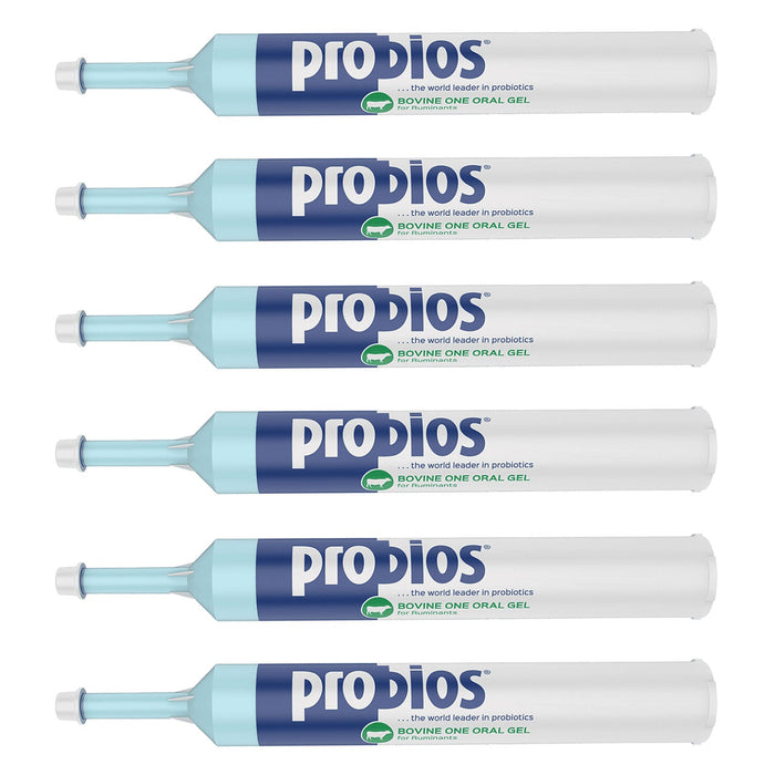 Probios Bovine One Gel - Jeffers - Animal Health & Wellness > Vitamins & Supplements