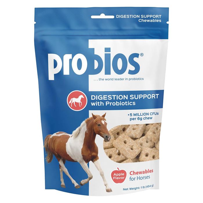 Probios Digestion Support Horse Treats, 1 lb - PNPE - Apple - 1