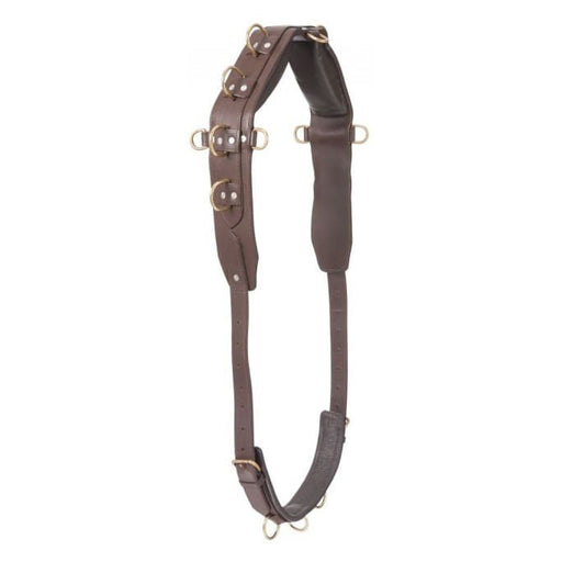 Professional Heavy Leather Surcingle - Jeffers - Horse Supplies > Horse Tack