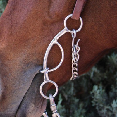 Professional's Choice Futurity Bit, 5.75' Mouth w/ 6.5' Cheeks - Jeffers - Horse Supplies > Horse Tack > Bridle Bits