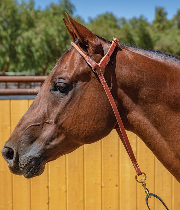 Professional's Choice Harness Leather War Bonnet - Jeffers - Horse Supplies > Horse Tack > Bridles & Headstalls