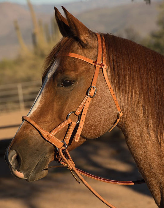 Professional's Choice Schutz Round Leather Nose Side Pull - Jeffers - Horse Supplies > Horse Tack > Bridles & Headstalls