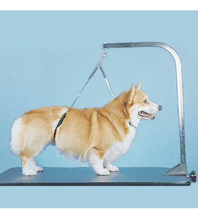 Proguard No - Sit Haunch Holder - Jeffers - Animal & Pet Supplies > Pet Grooming