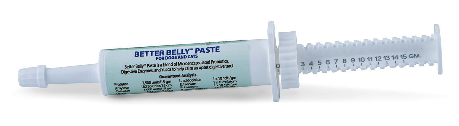 Prothrive Better Belly Paste - Jeffers - Animal Health & Wellness > Vitamins & Supplements