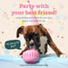 Pupsicle 'Birthday' Party Treat Dispensing Dog Toy – Interactive, Long - Lasting Chew & Puzzle Toy for Dogs - WO2AV - Small - Pink - 1 ct - 15