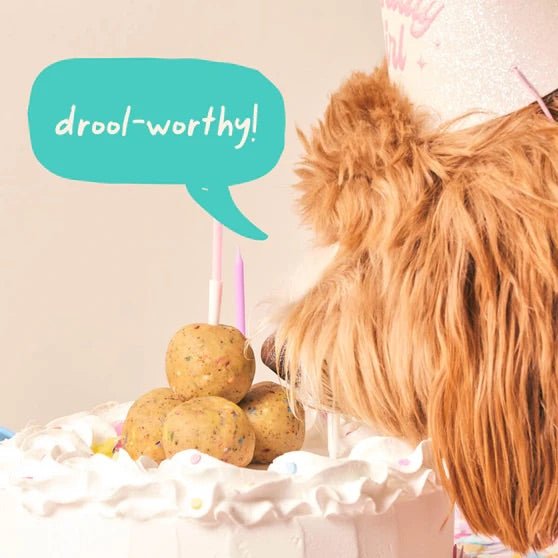 Pupsicle Birthday Pops Dog Treat Refills – Long - Lasting, All - Natural, Festive, Made in USA - WO2BD - Peanut Butter - Small (6 oz) - 7