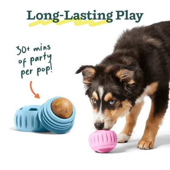 Pupsicle Birthday Pops Dog Treat Refills – Long - Lasting, All - Natural, Festive, Made in USA - WO2BD - Peanut Butter - Small (6 oz) - 6