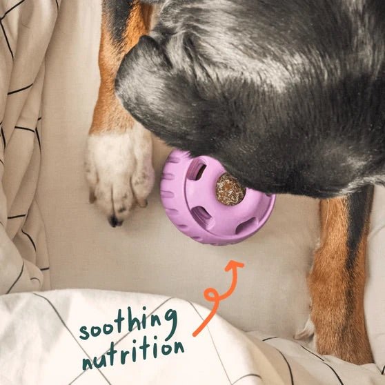 Pupsicle Everyday Wellness Pops Refills – Long Lasting Dog Treats for Joint, Calm, Allergy & Whole Body Health - WO2W - Calming - Small - 6 oz - 27