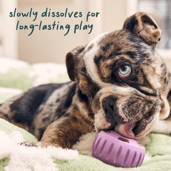 Pupsicle Everyday Wellness Pops Refills – Long Lasting Dog Treats for Joint, Calm, Allergy & Whole Body Health - WO2W - Calming - Small - 6 oz - 28