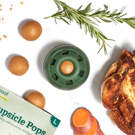 Pupsicle Pops Dog Treat Refills – Natural, Long - Lasting, Made in USA - WO2P - PB & Chicken - Small (6 oz) - 5