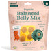 Pupsicle Pops Flavored Treat Mix - WO2BL - Balanced Belly Mix - Pumpkin - 5.5 oz - 24