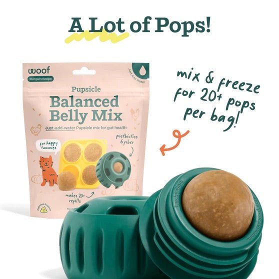 Pupsicle Pops Flavored Treat Mix - WO2BL - Balanced Belly Mix - Pumpkin - 5.5 oz - 27