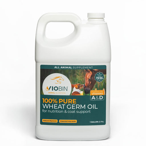 Pure Fortified Wheat Germ Oil - REA1 - 1