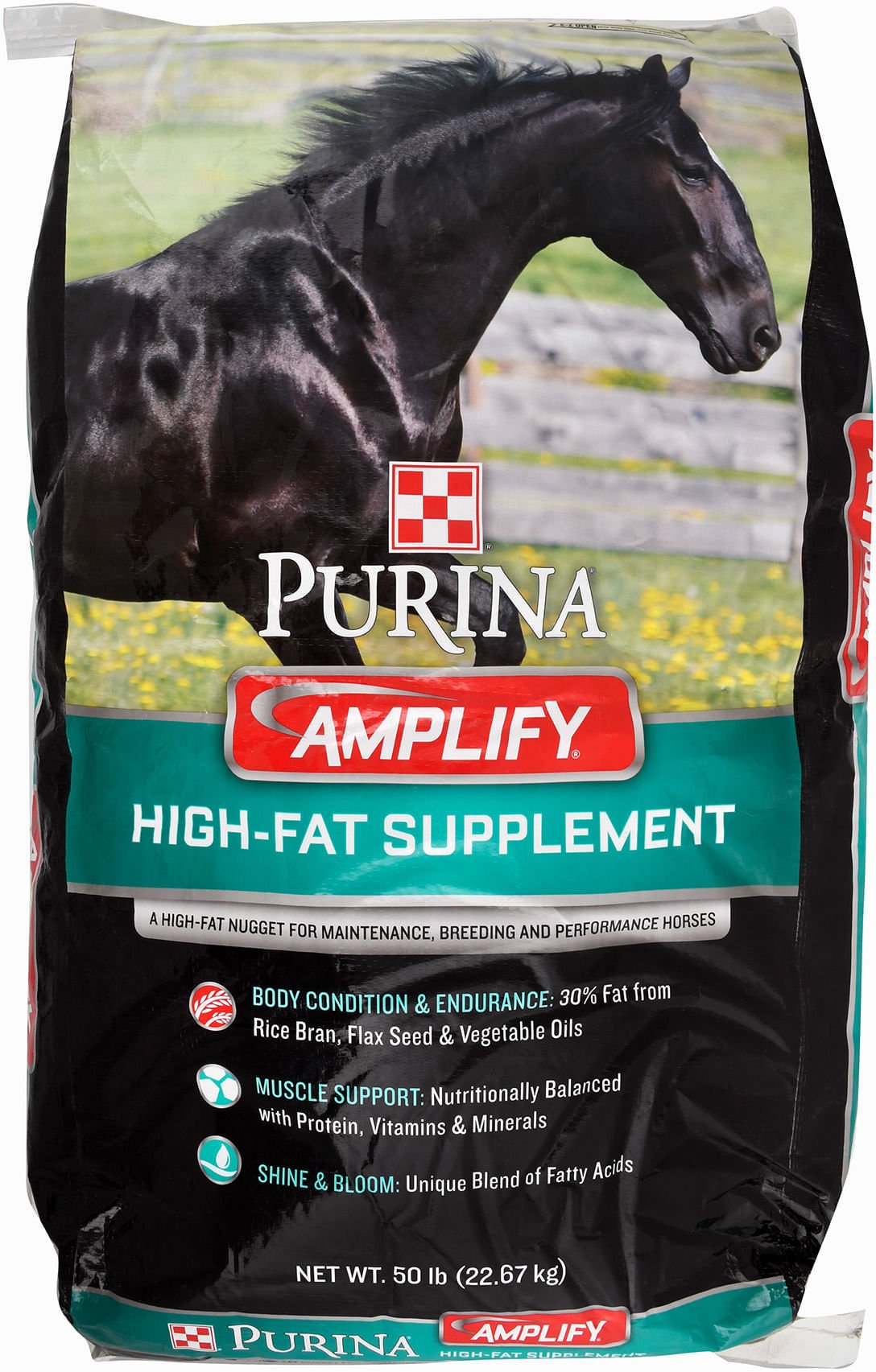 Purina Amplify High Fat Supplement for Horses — Jeffers