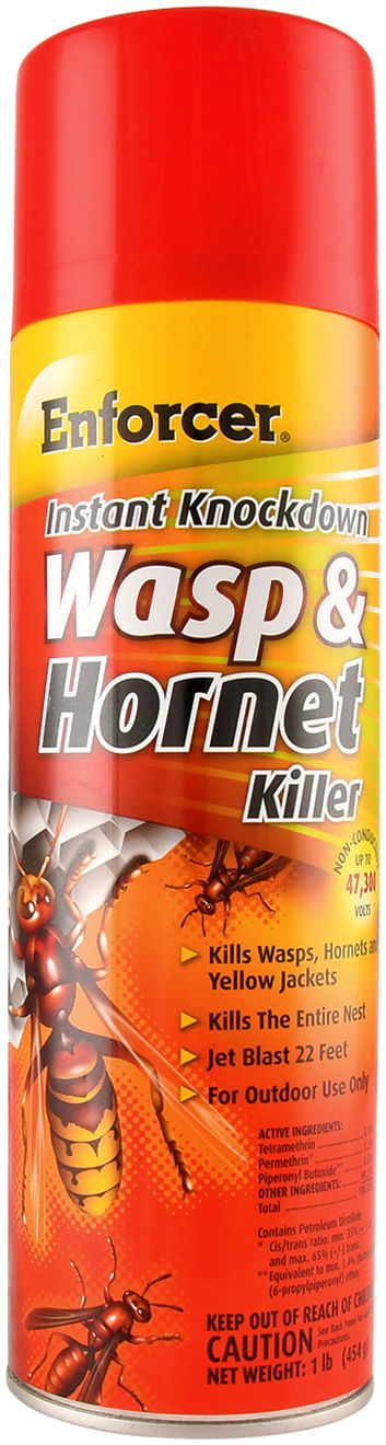 Instant Knockdown Wasp & Hornet Killer, 16 oz -   