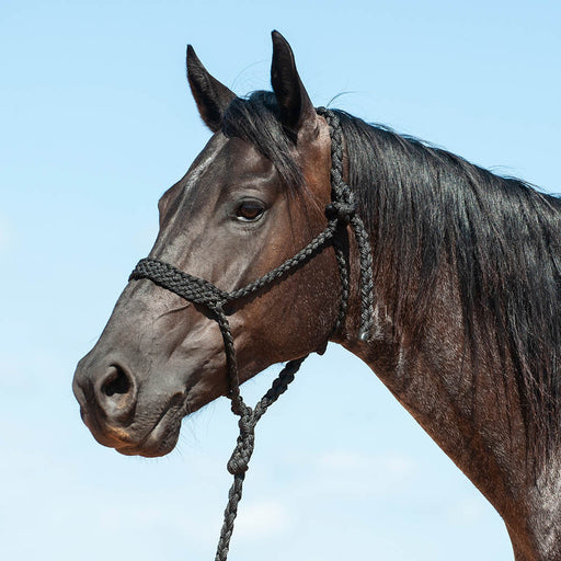 Braided Mule Tape Halter w/ 9' Lead - Black  