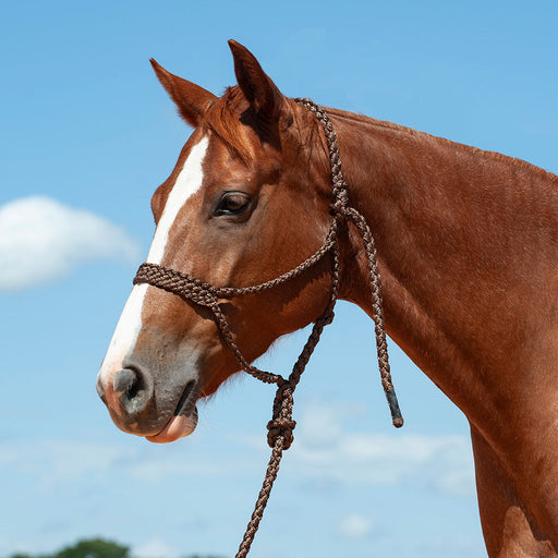 Braided Mule Tape Halter w/ 9' Lead - Brown  