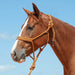 Braided Mule Tape Halter w/ 9' Lead - Copper  