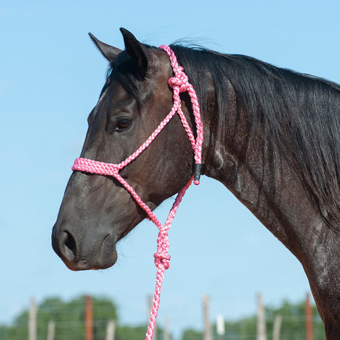 Braided Mule Tape Halter w/ 9' Lead - Pink  