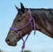 Braided Mule Tape Halter w/ 9' Lead - Purple  