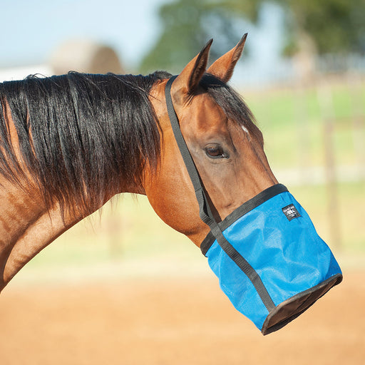 Cashel Feed Rite Bag - Blue  