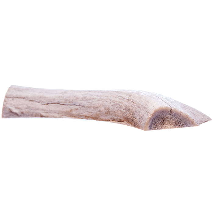 Split Antlerz (The Trew) - Large Split Antlerz, each  