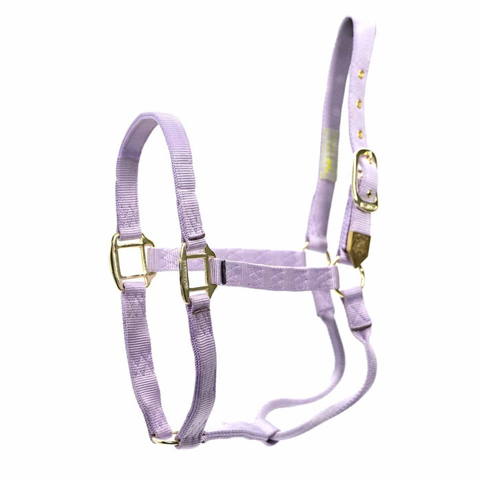 Quality Adjustable 1" Nylon Large Horse Halter - MBR5 - Violet - 1"W (Adjusts 11 - 16") - 1 - 2