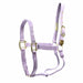 Quality Adjustable 1" Nylon Large Horse Halter - MBR5 - Violet - 1"W (Adjusts 11 - 16") - 1 - 2