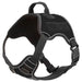 Quest Multi - Purpose Harness, Medium - Jeffers - Dog Supplies > Dog Apparel > Dog Collars, Harnesses, & Leashes