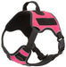 Quest Multi - Purpose Harness, Small - Jeffers - Dog Supplies > Dog Apparel > Dog Collars, Harnesses, & Leashes