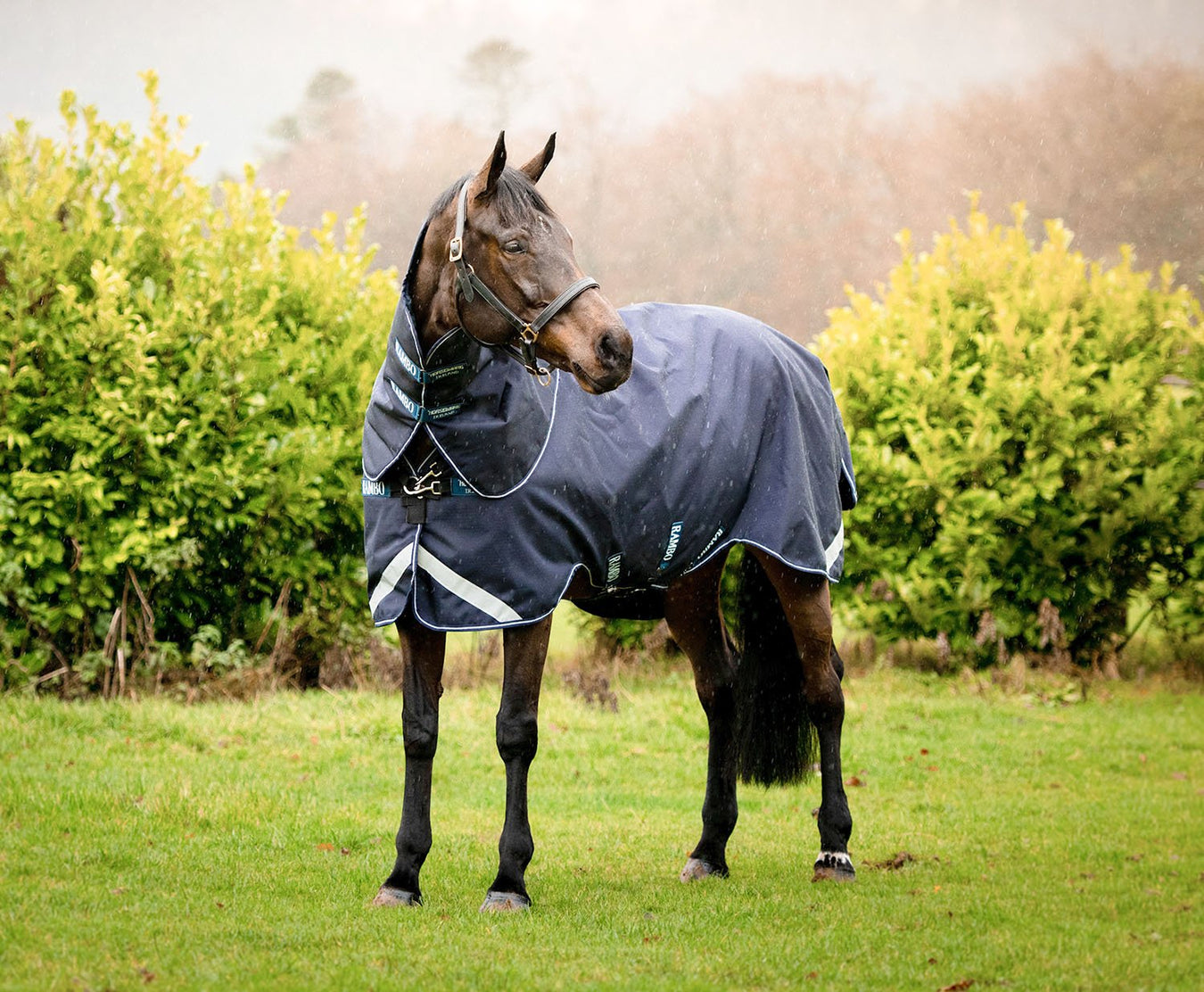 Horseware Ireland