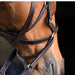 Rambo Micklem Multi Horse Bridle, Dark Havana - Jeffers - Horse Supplies > Horse Tack > Bridles & Headstalls