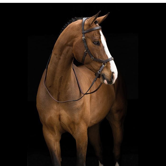 Rambo Micklem Multi Horse Bridle, Dark Havana - Jeffers - Horse Supplies > Horse Tack > Bridles & Headstalls