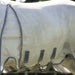Rambo Optimo Protector Plus Fly Sheet with Detachable Hood for Horses - FOCA8 - Grey/Silver - 84" - 3