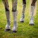 Rambo Tech - Fit Fly Boots with 3D Airmesh Fabric - FOCAB - Silver - Full - 4 Pack - 1