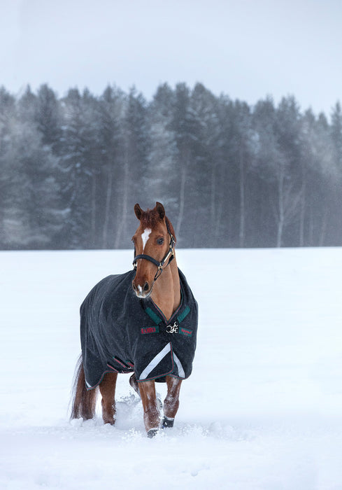 Rambo Wug Turnout, 400 gram, Navy/Hunter Green - Jeffers - Horse Supplies > Horse Blankets & Sheets