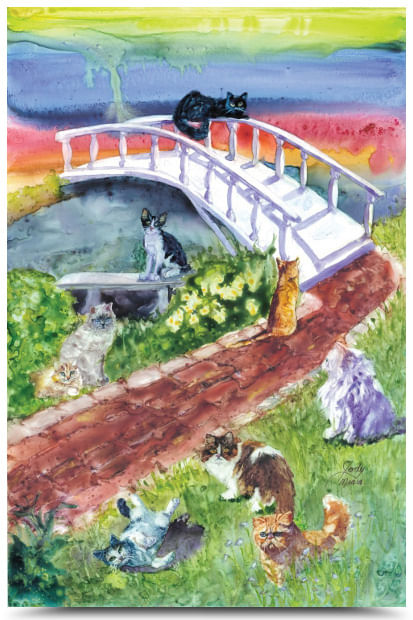 Rainbow Bridge Pet Sympathy Card - Cat Rainbow Bridge Sympathy Card  