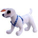 Reflective Hound Series Harness, 3/4' x 20' - 28' - Jeffers - Dog Supplies > Dog Apparel > Dog Collars, Harnesses, & Leashes