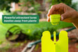 RESCUE! Japanese & Oriental Beetle Trap & Refills – Reusable, Non - Toxic Garden Pest Control - SE1E - Beetle Trap - 1 ct - 7