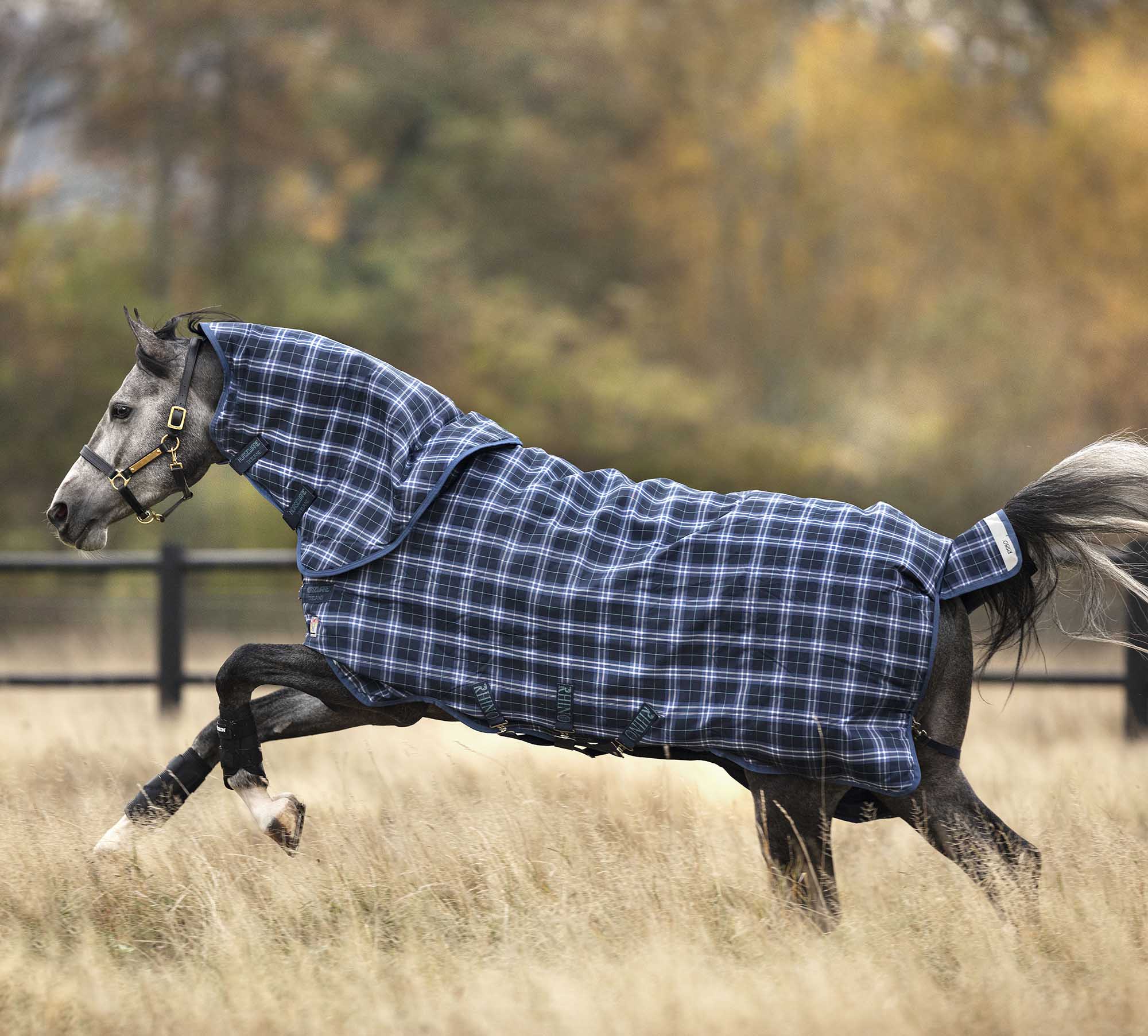 Rhino Plus with Vari-Layer Turnout Blanket, Heavy Wt, Navy Check