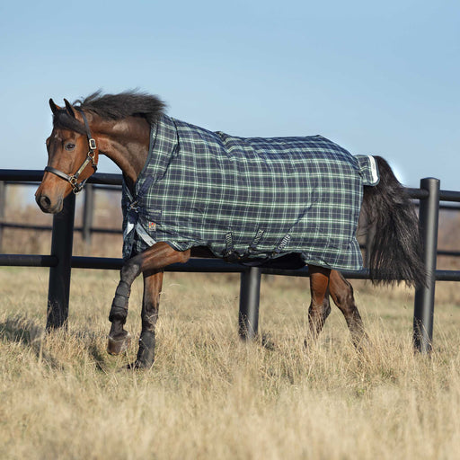 Rhino Wug Hunter Check Horse Blanket with Vari - Layer, Medium Weight, 1000D, 250 gram - FOXL - 66 in - Hunter Check - 2