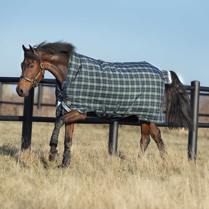 Rhino Wug Hunter Check Horse Blanket with Vari - Layer, Medium Weight, 1000D, 250 gram - FOXL - 66 in - Hunter Check - 2