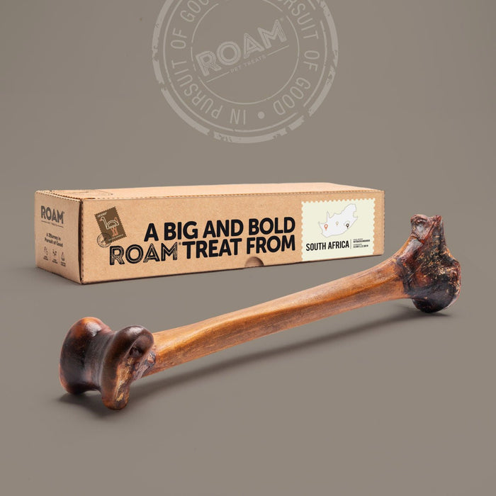 Roam Dog Treats Forever Bone, Ostrich Bone - Jeffers - Dog Supplies > Dog Treats > Bones