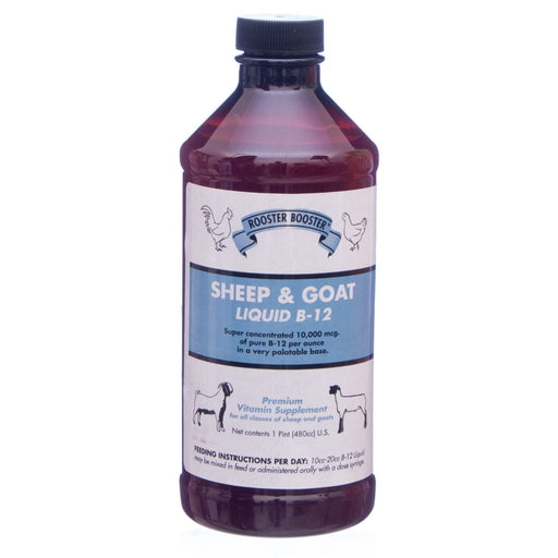 Rooster Booster® Sheep & Goat Liquid B - 12 - Jeffers - Animal Health & Wellness > Vitamins & Supplements