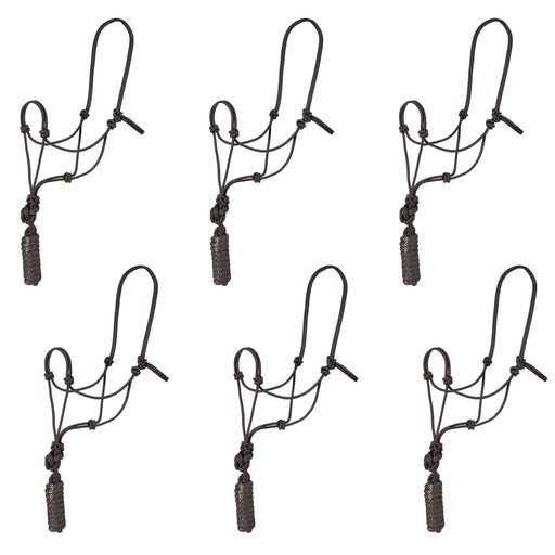 Rope Halter with Lead, 6 pk - Jeffers - Horse Supplies > Horse Tack > Horse Halters