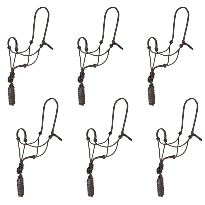 Rope Halter with Lead, 6 pk - Jeffers - Horse Supplies > Horse Tack > Horse Halters