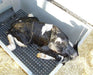 Roy - L - Heat Calf Warmer Box - SKAA - 7
